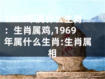 1969年属什么生肖：生肖属鸡,1969年属什么生肖:生肖属相