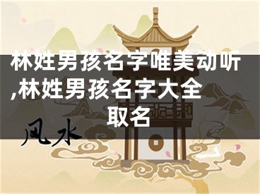 林姓男孩名字唯美动听,林姓男孩名字大全 取名