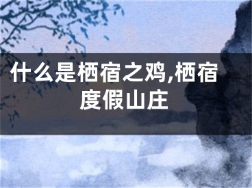 什么是栖宿之鸡,栖宿度假山庄