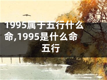1995属于五行什么命,1995是什么命 五行
