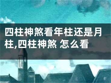 四柱神煞看年柱还是月柱,四柱神煞 怎么看
