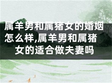 属羊男和属猪女的婚姻怎么样,属羊男和属猪女的适合做夫妻吗
