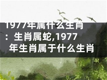 1977年属什么生肖：生肖属蛇,1977年生肖属于什么生肖