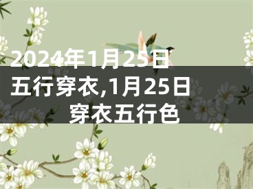2024年1月25日五行穿衣,1月25日穿衣五行色