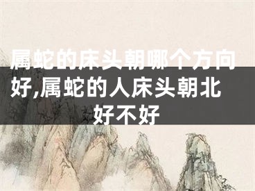 属蛇的床头朝哪个方向好,属蛇的人床头朝北好不好