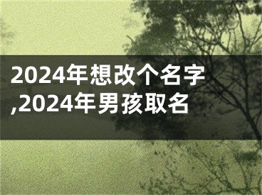 2024年想改个名字,2024年男孩取名