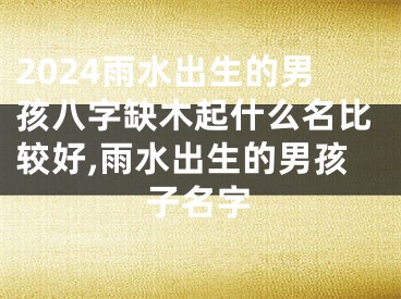 2024雨水出生的男孩八字缺木起什么名比较好,雨水出生的男孩子名字