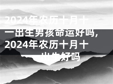 2024年农历十月十一出生男孩命运好吗,2024年农历十月十一出生好吗