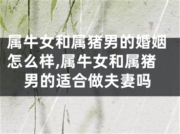 属牛女和属猪男的婚姻怎么样,属牛女和属猪男的适合做夫妻吗