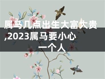 属马几点出生大富大贵,2023属马要小心一个人