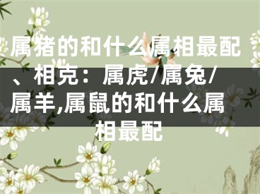 属猪的和什么属相最配、相克：属虎/属兔/属羊,属鼠的和什么属相最配