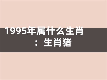 1995年属什么生肖：生肖猪