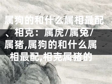 属狗的和什么属相最配、相克：属虎/属兔/属猪,属狗的和什么属相最配,相克属猪的