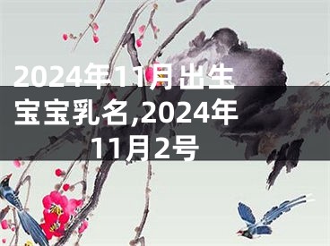 2024年11月出生宝宝乳名,2024年11月2号