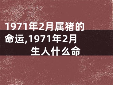 1971年2月属猪的命运,1971年2月生人什么命