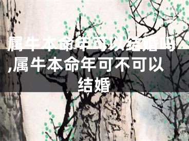 属牛本命年可以结婚吗,属牛本命年可不可以结婚