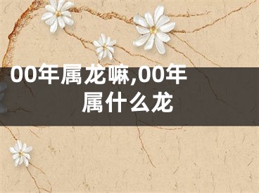 00年属龙嘛,00年属什么龙