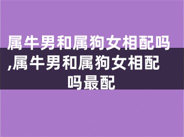 属牛男和属狗女相配吗,属牛男和属狗女相配吗最配
