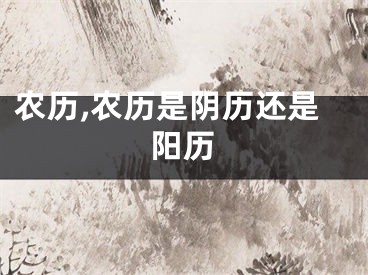 农历,农历是阴历还是阳历