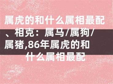 属虎的和什么属相最配、相克：属马/属狗/属猪,86年属虎的和什么属相最配