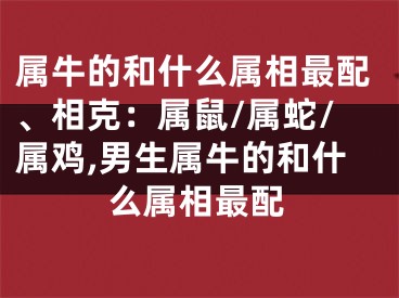 属牛的和什么属相最配、相克：属鼠/属蛇/属鸡,男生属牛的和什么属相最配