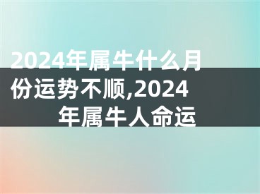 2024年属牛什么月份运势不顺,2024年属牛人命运