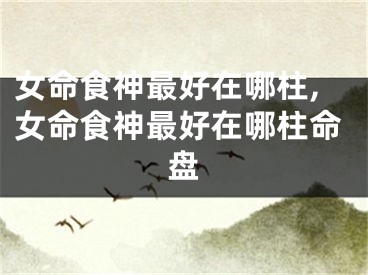 女命食神最好在哪柱,女命食神最好在哪柱命盘