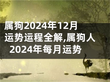 属狗2024年12月运势运程全解,属狗人2024年每月运势