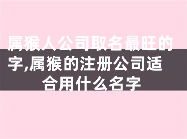 属猴人公司取名最旺的字,属猴的注册公司适合用什么名字