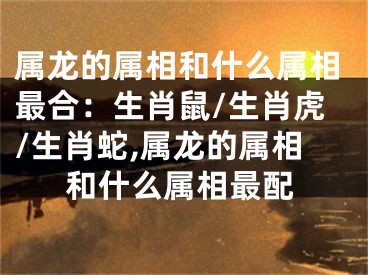 属龙的属相和什么属相最合：生肖鼠/生肖虎/生肖蛇,属龙的属相和什么属相最配