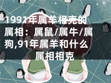 1991年属羊相克的属相：属鼠/属牛/属狗,91年属羊和什么属相相克