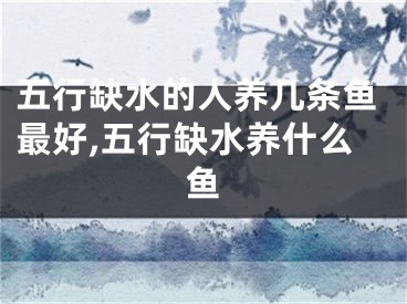 五行缺水的人养几条鱼最好,五行缺水养什么鱼