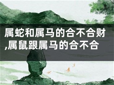 属蛇和属马的合不合财,属鼠跟属马的合不合