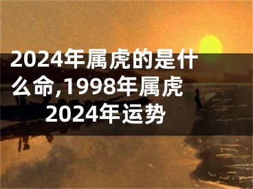 2024年属虎的是什么命,1998年属虎2024年运势