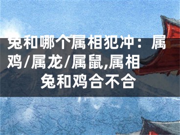 兔和哪个属相犯冲：属鸡/属龙/属鼠,属相兔和鸡合不合