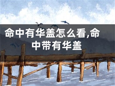 命中有华盖怎么看,命中带有华盖