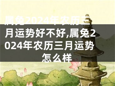 属兔2024年农历三月运势好不好,属兔2024年农历三月运势怎么样
