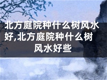 北方庭院种什么树风水好,北方庭院种什么树风水好些