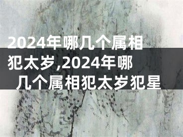 2024年哪几个属相犯太岁,2024年哪几个属相犯太岁犯星
