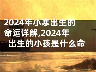 2024年小寒出生的命运详解,2024年出生的小孩是什么命