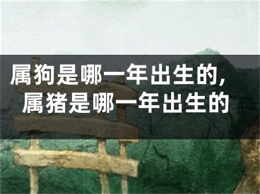 属狗是哪一年出生的,属猪是哪一年出生的