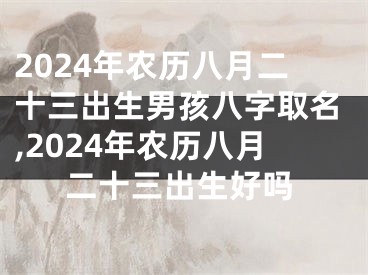 2024年农历八月二十三出生男孩八字取名,2024年农历八月二十三出生好吗