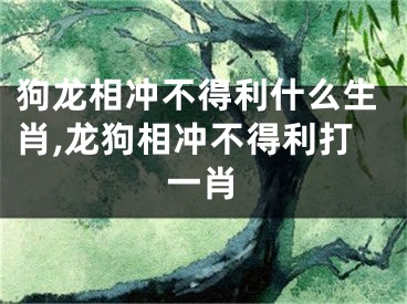 狗龙相冲不得利什么生肖,龙狗相冲不得利打一肖