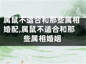 属鼠不适合和那些属相婚配,属鼠不适合和那些属相婚姻