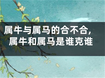 属牛与属马的合不合,属牛和属马是谁克谁