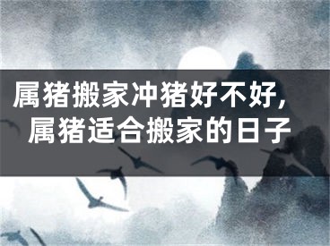 属猪搬家冲猪好不好,属猪适合搬家的日子