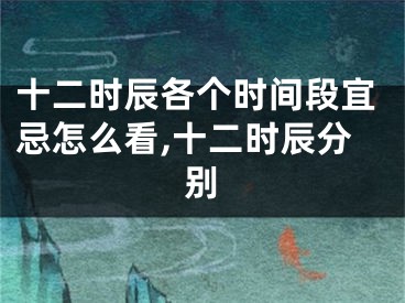 十二时辰各个时间段宜忌怎么看,十二时辰分别