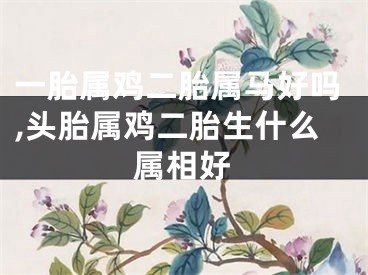 一胎属鸡二胎属马好吗,头胎属鸡二胎生什么属相好