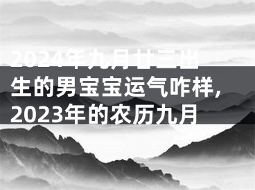 2024年九月廿三出生的男宝宝运气咋样,2023年的农历九月