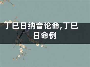 丁巳日纳音论命,丁巳日命例